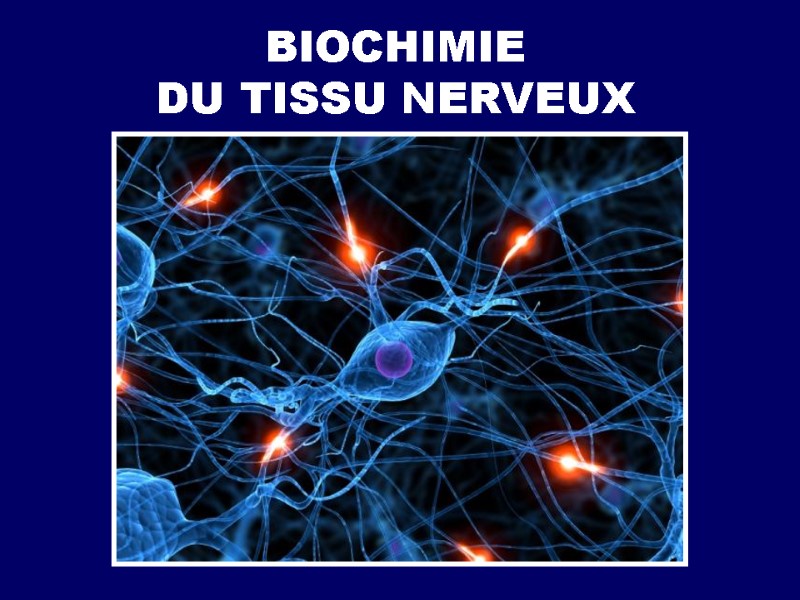 BIOCHIMIE DU TISSU NERVEUX